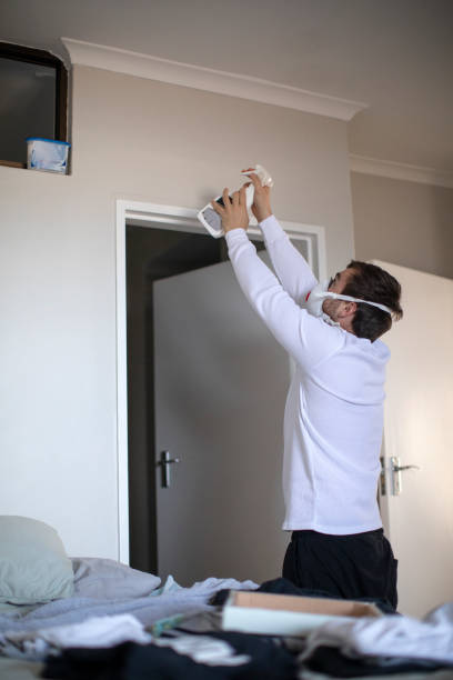 Best Real Estate Mold Inspection  in Bridgman, MI