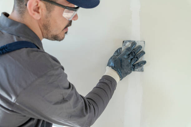Best Crawl Space Mold Remediation  in Bridgman, MI