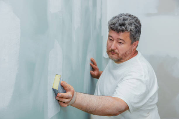 Best Air Quality Testing for Mold Spores  in Bridgman, MI