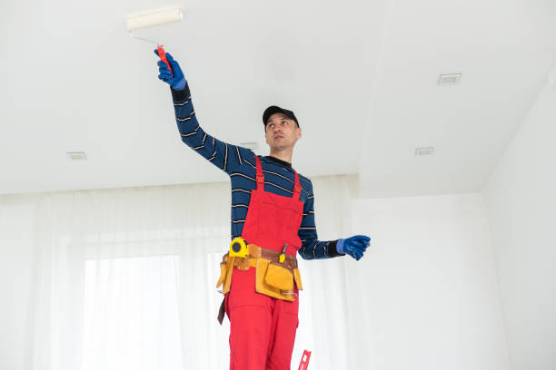 Best HVAC Mold Inspection and Cleaning  in Bridgman, MI