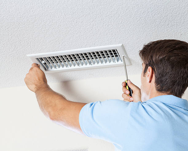 Trusted Bridgman, MI Mold Removal Experts